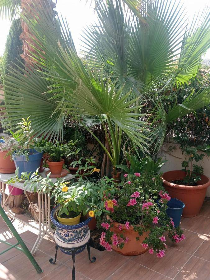 Casa rural para 5 personas, con Terraza en Cenes de la Vega