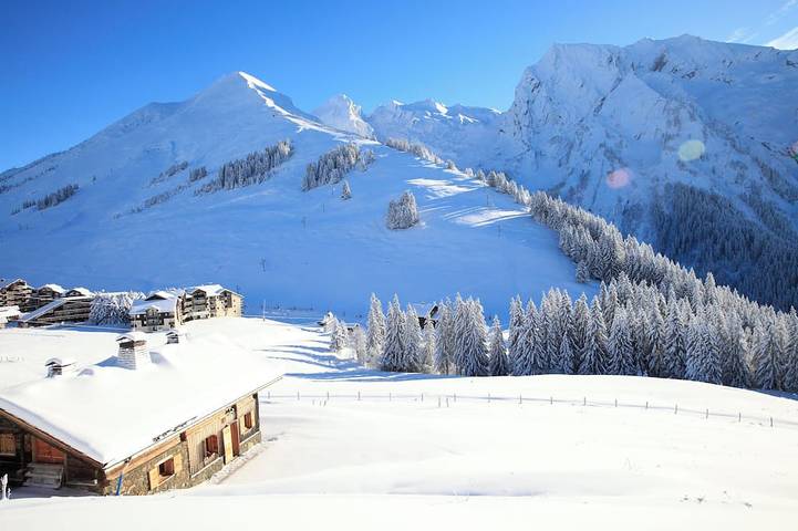 Chalet pour 10 personnes, avec jardin et terrasse à Manigod
