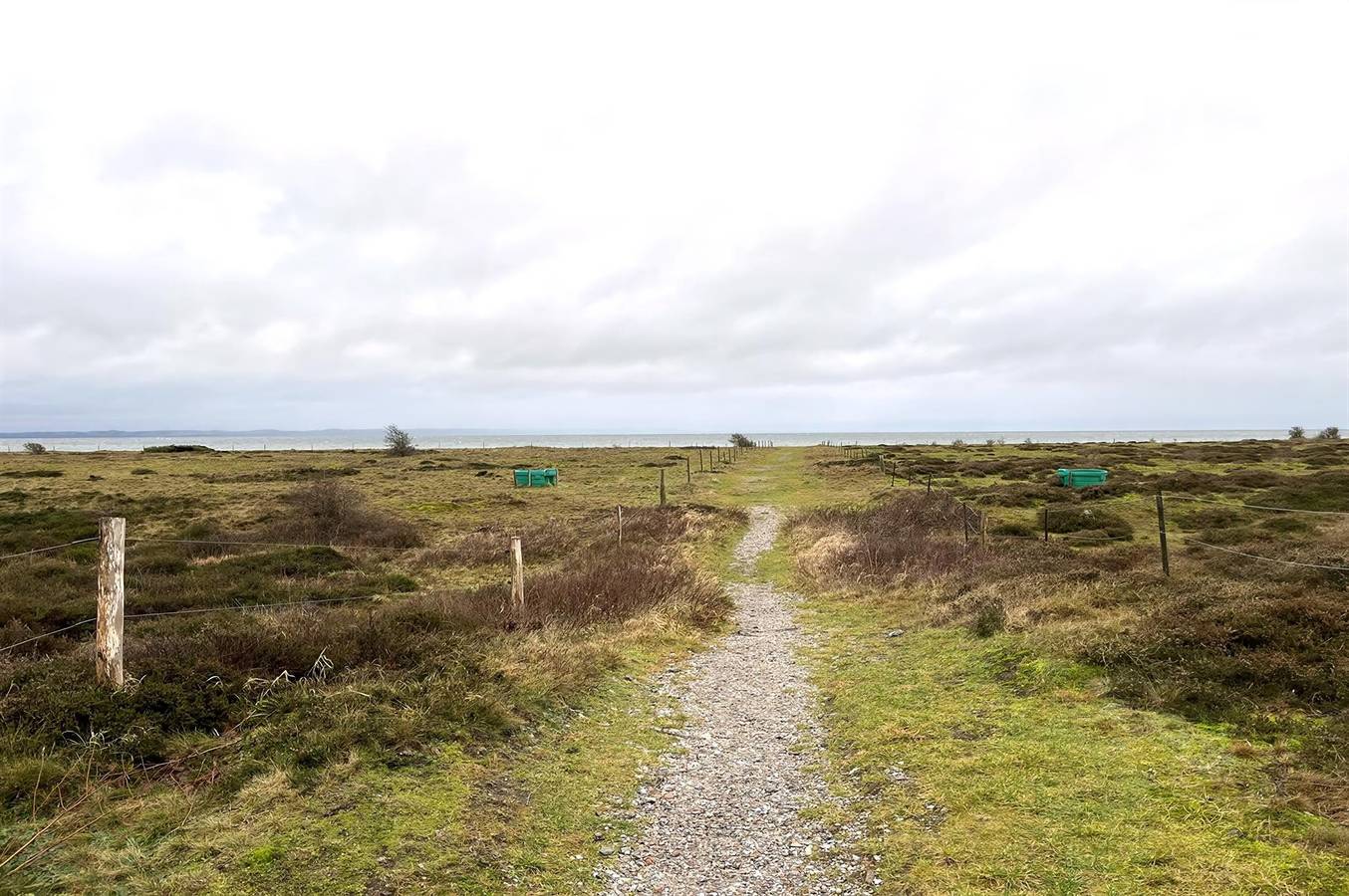 Pet friendly home in Sjællands Odde with sauna in Overby Lyng, Sjællands Odde