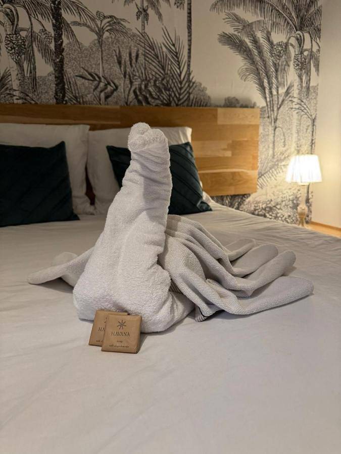 Gîte pour 2 personnes, avec terrasse à Ancenis - 4