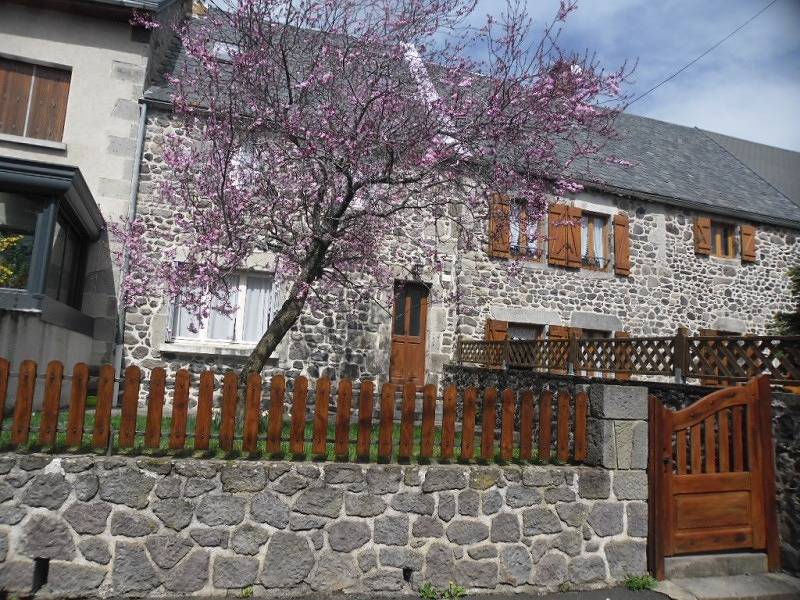 Les hirondelles in Murol, Parque Natural Regional Volcans d'Auvergne