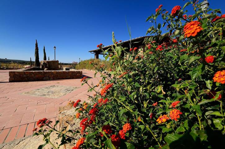 Borgo Casa Di Lappi - Bilocale Primo Piano in Campiglia Marittima, Etruskische Küste