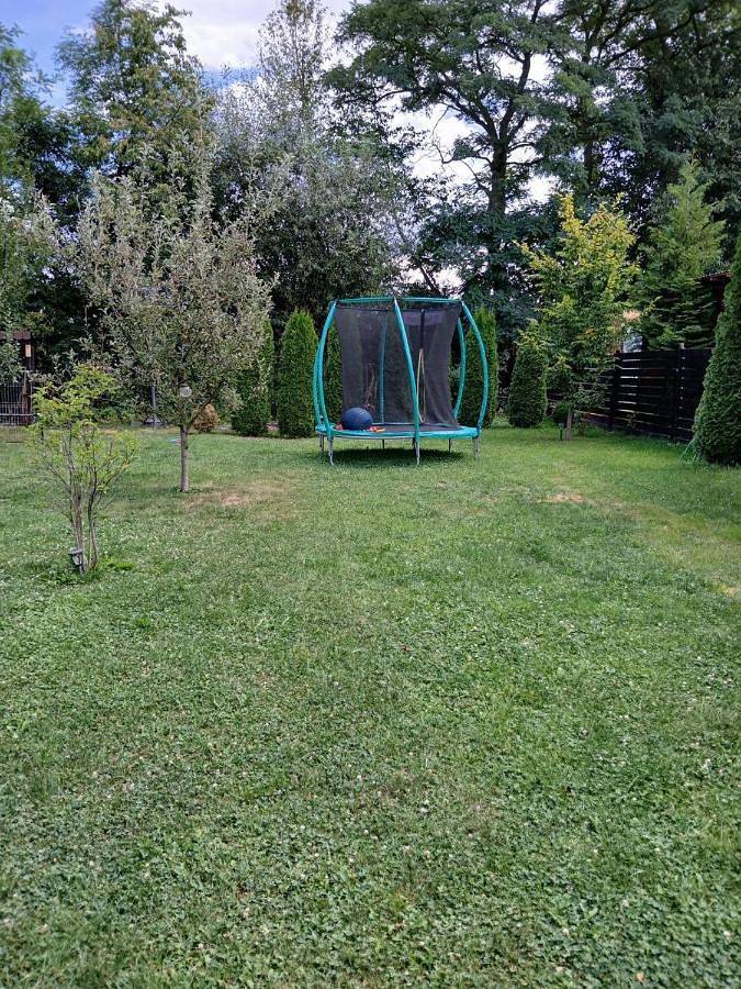 Villa pour 8 personnes, avec Balcon et Terrasse ainsi que Jardin et Vue en Roumanie - 2