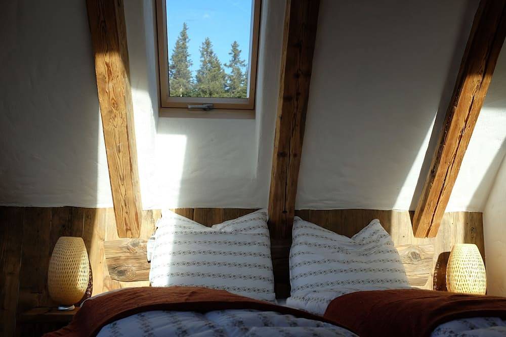 Mausnester from Skihutte Lachtal in Oberwölz, Westliche Obersteiermark