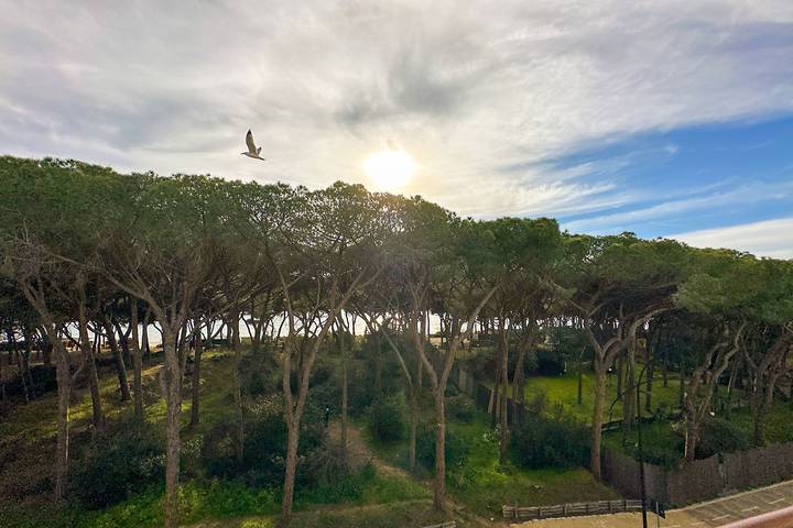 Vakantiewoning voor 6 personen, met Balkon in Follonica