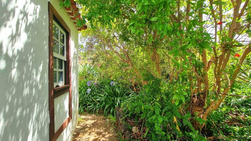 Casa rural para 4 personas, con Terraza y Jardín en Puntagorda - 4