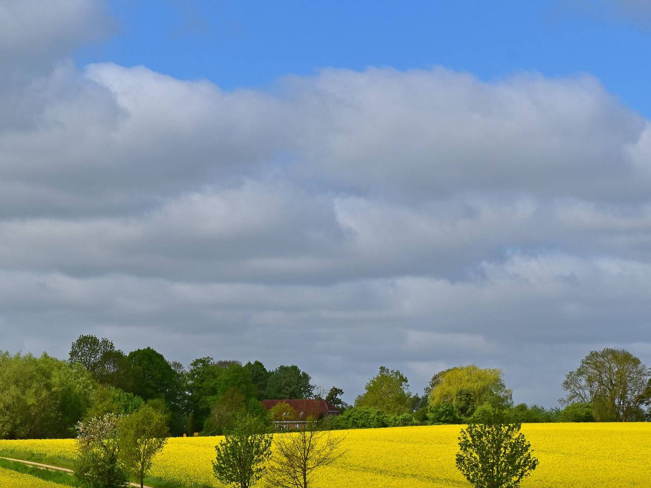 Ganze Wohnung, Ferienwohnung im Gutshaus Schulenbrook in Metelsdorf, Nordwestmecklenburg (Wismar und Umgebung)