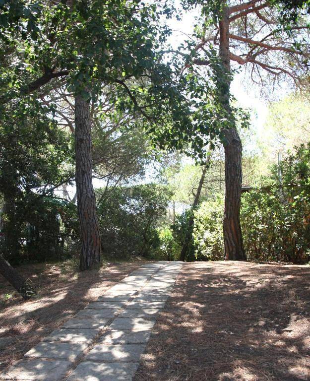 Camping für 6 Personen, mit Garten und Pool sowie Ausblick in Grosseto - 3