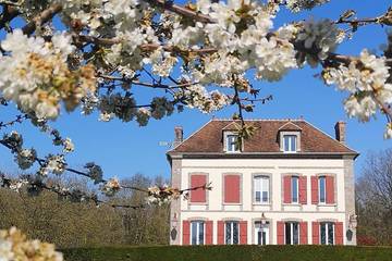 Gîte pour 13 personnes, avec terrasse ainsi que jardin et sauna à Villeneuve-sur-Yonne