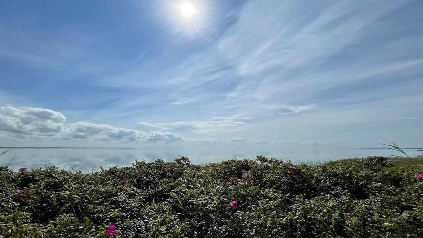 Ferienhaus für 4 Personen in Søndervig - 2
