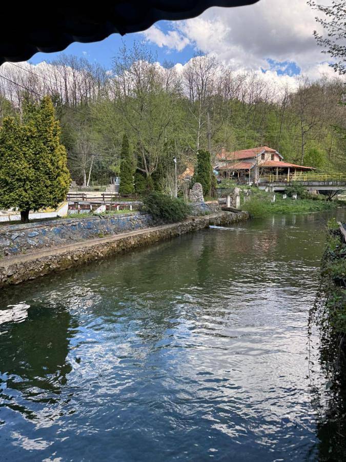 Gîte pour 3 personnes, avec vue, animaux acceptés à Despotovac - 2