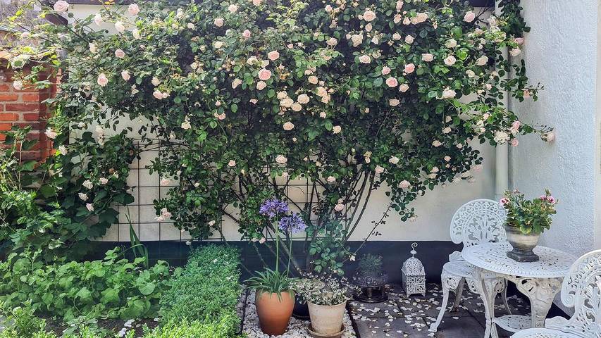 Ferienhaus für 9 Personen, mit Garten in Simrishamn - 3