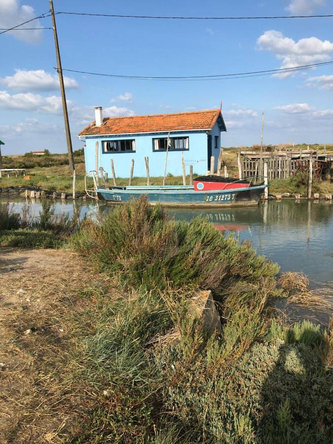 Appartement entier, One-Bedroom Apartment in Boyardville, Saint-Georges-d'Oléron