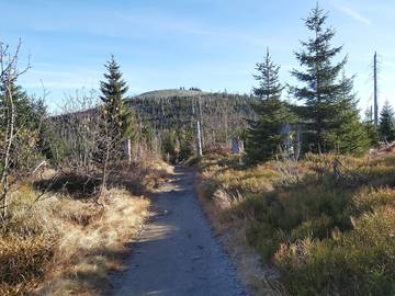 Ferienhaus für 5 Personen in Hohenau, Ostbayern, Bild 4