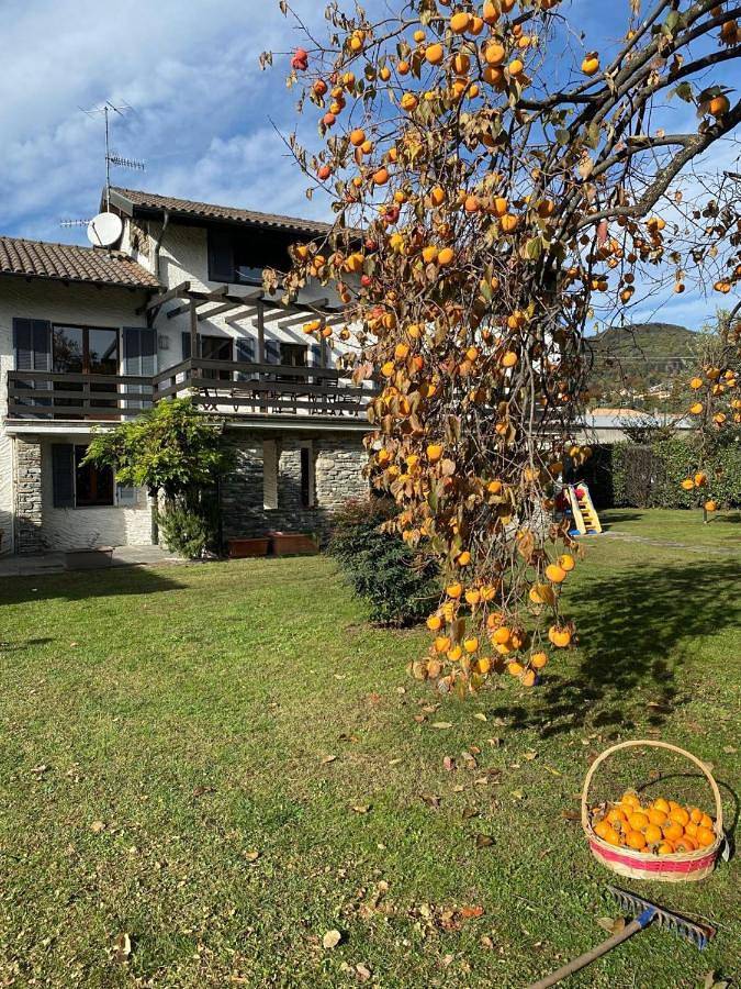 Gîte pour 6 personnes, avec jardin et terrasse dans Pettenasco - 4