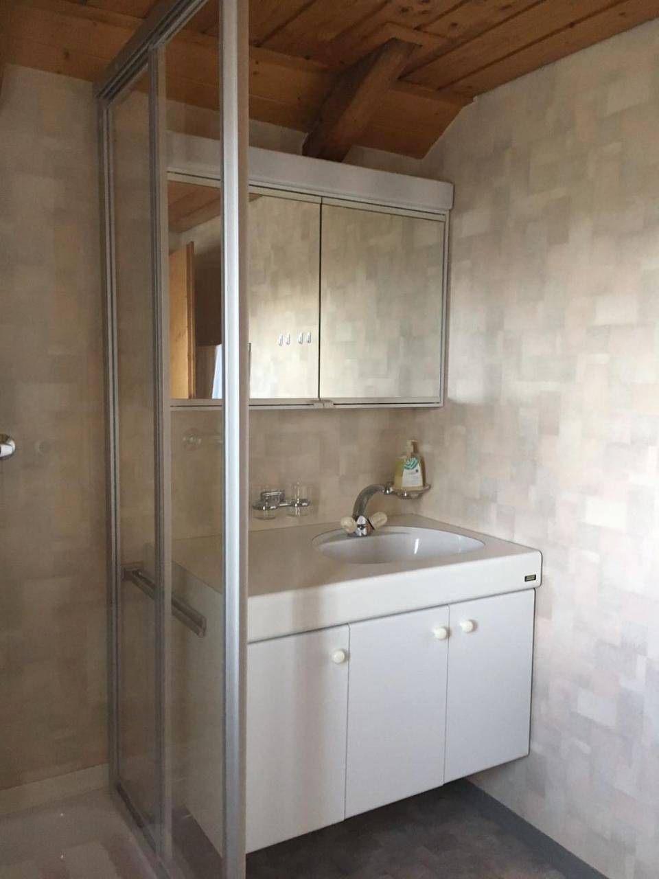 Ganze Wohnung, Appartement Fernsicht Triesenberg in Triesenberg, Rätikon Gebirgsgruppe