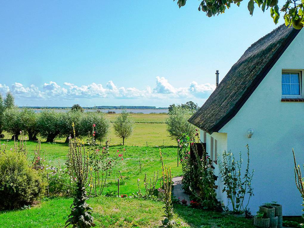 Ganze Ferienwohnung, D 128.885 Studio Timm - Parterre in Hiddensee, Vorpommern-Rügen
