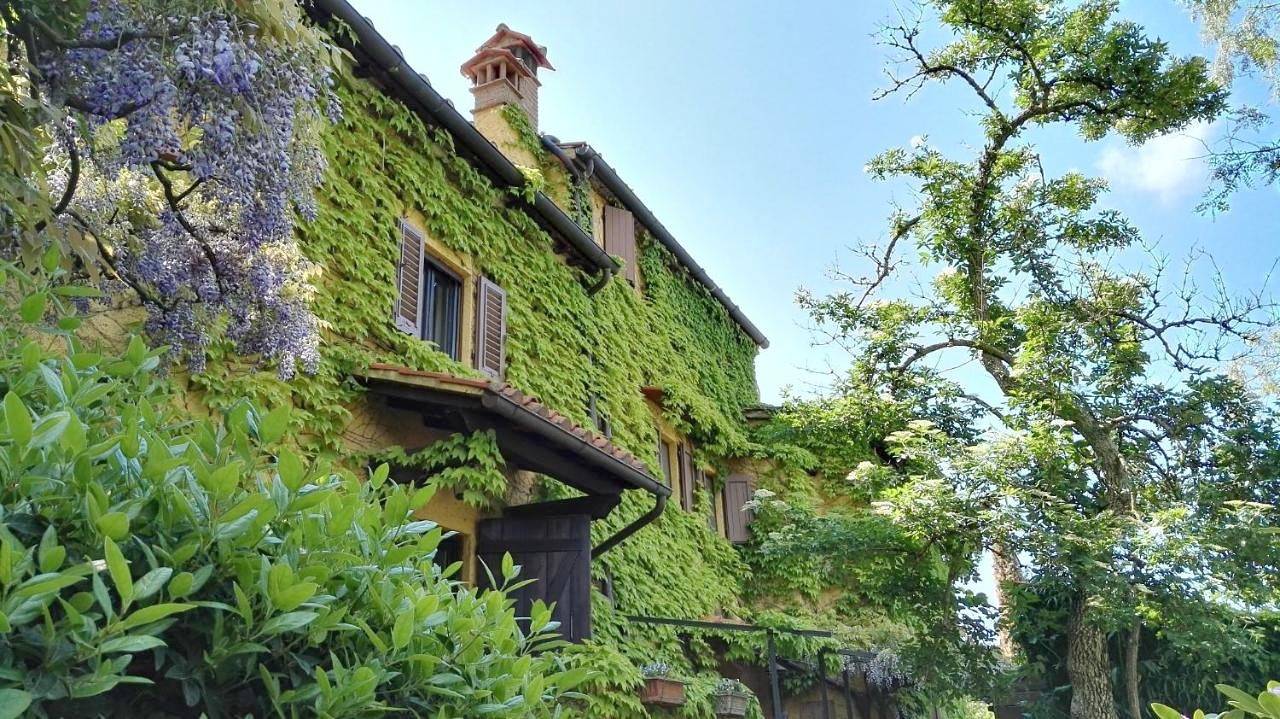 B&B Le Due Volpi in Vicchio, Firenze province