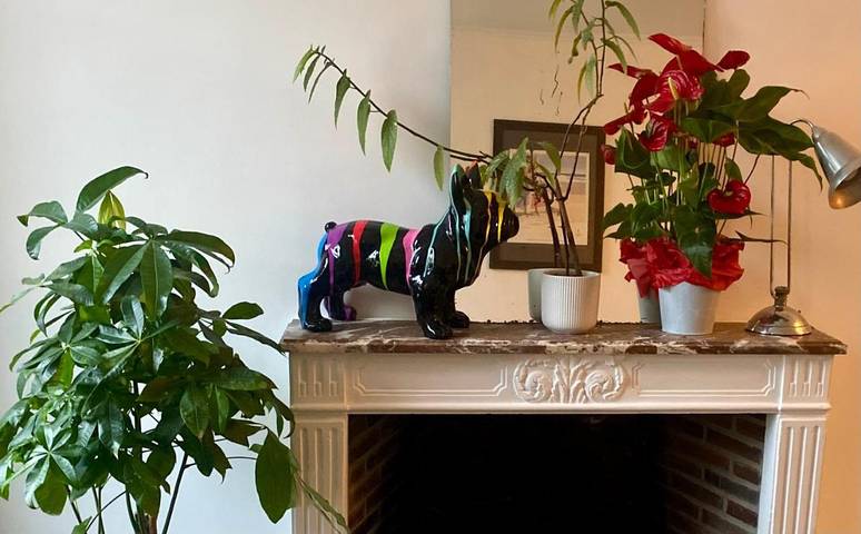 Gîte pour 2 personnes, avec vue à Rambouillet - 3