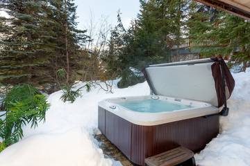 Chalet for 10 Guests in Whistler, Whistler Blackcomb, Picture 2