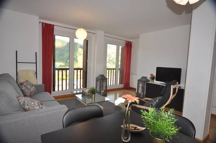 Gîte pour 4 personnes, avec balcon ainsi que jardin et vue, animaux acceptés dans Formigal - 2