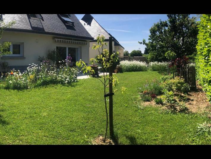 Chambre d’hôte pour 2 personnes, avec terrasse et jardin à Séné - 3