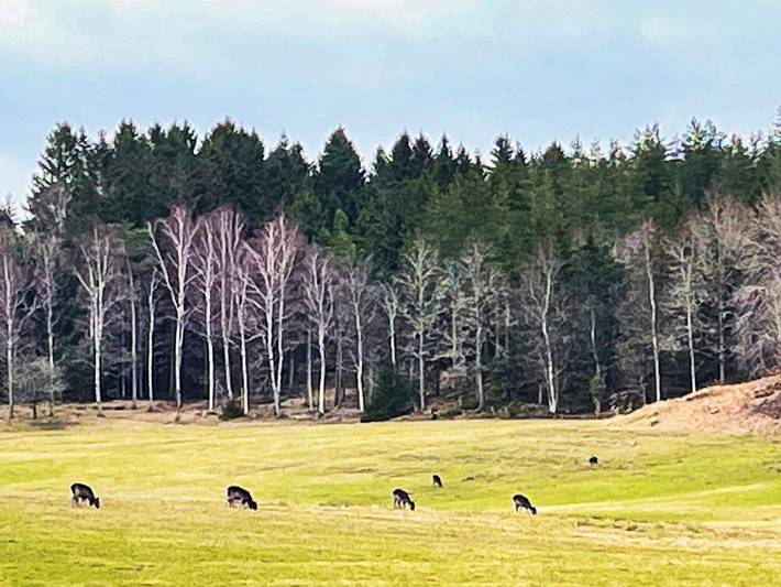 6 personer fritidhus i Prässebo in Lilla Edet, Västergötland