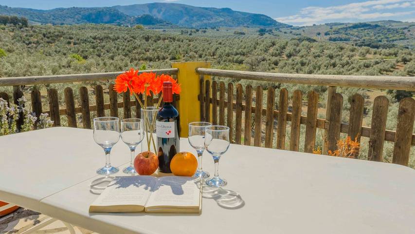 Chalet para 12 personas, con piscina en Provincia de Granada - 4