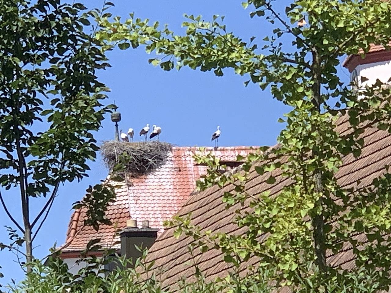Ferienhof Klein - Wohnung 3, foto 13