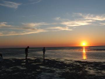 Log Cabin for 5 People in Chatham (MA), Cape Cod, Photo 4