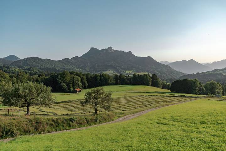 Ganze Ferienwohnung, Ferienwohnung beim Professor - Gemütlich komfortable Ferienwohnung 80qm für max. 4 Personen in Samerberg, Bayerische Alpen