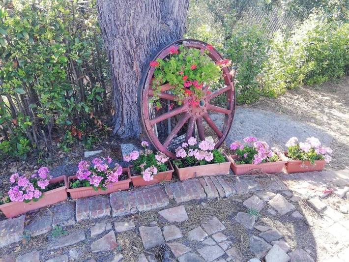 Ferienwohnung für 2 Personen, mit Garten in Vada - 4