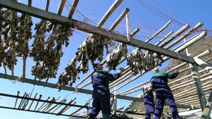 Hütte für 8 Personen in Mølnarodden, Flakstad, Bild 3