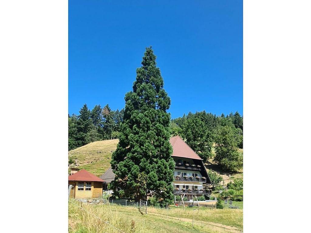 Bauernhof mit 1 Schlafzimmer in Biberach, Mittlerer Schwarzwald