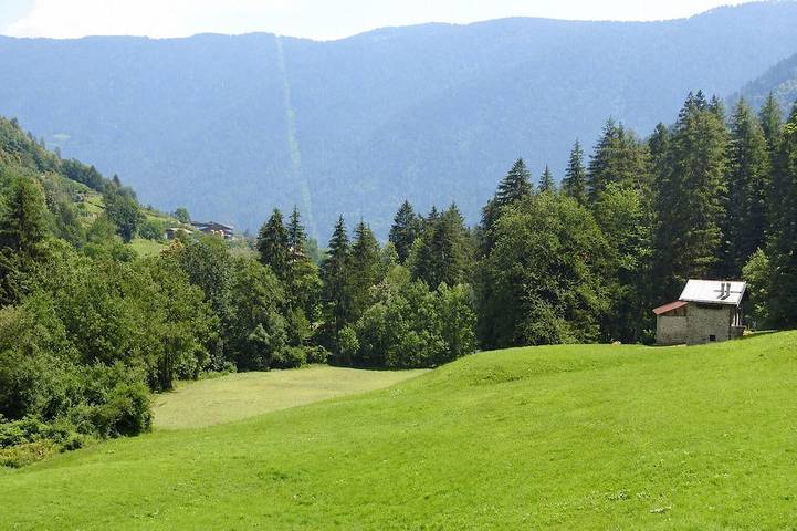 Ferienhaus für 6 Personen, mit Haustier - 1
