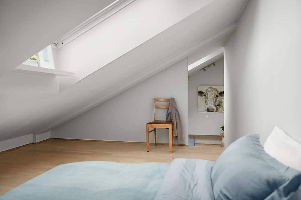 Ganze Wohnung, Urban Oslo Penthouse in Oslo Zentrum, Oslo