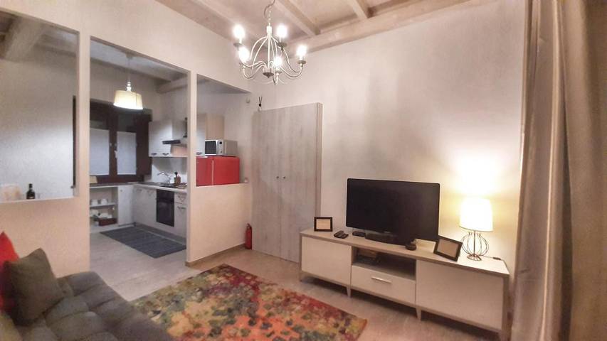 Gîte pour 4 personnes, avec jardin, animaux acceptés à Venaria Reale - 2