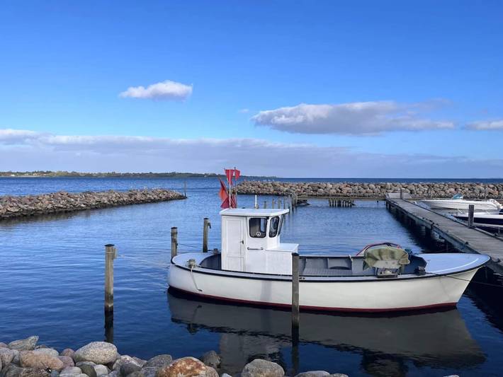 Ferienhaus für 5 Personen, mit Ausblick und Terrasse sowie Pool in Løjt - 2