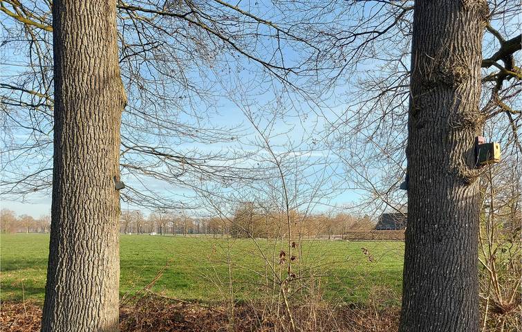 Ferienhaus für 4 Personen, mit Terrasse und Garten in Gelderland - 2