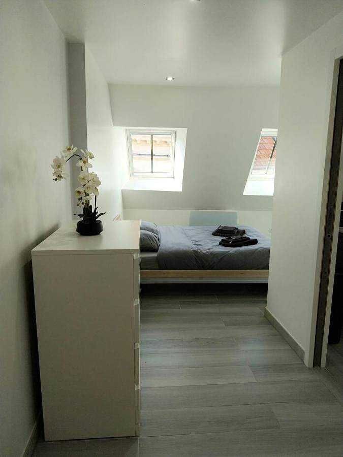 Gîte pour 4 personnes, animaux acceptés à Nogent-sur-Seine - 3