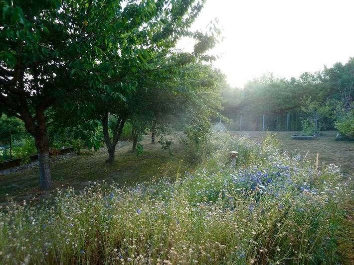 Gîte pour 3 personnes, avec jardin, animaux acceptés à Roussines - 4