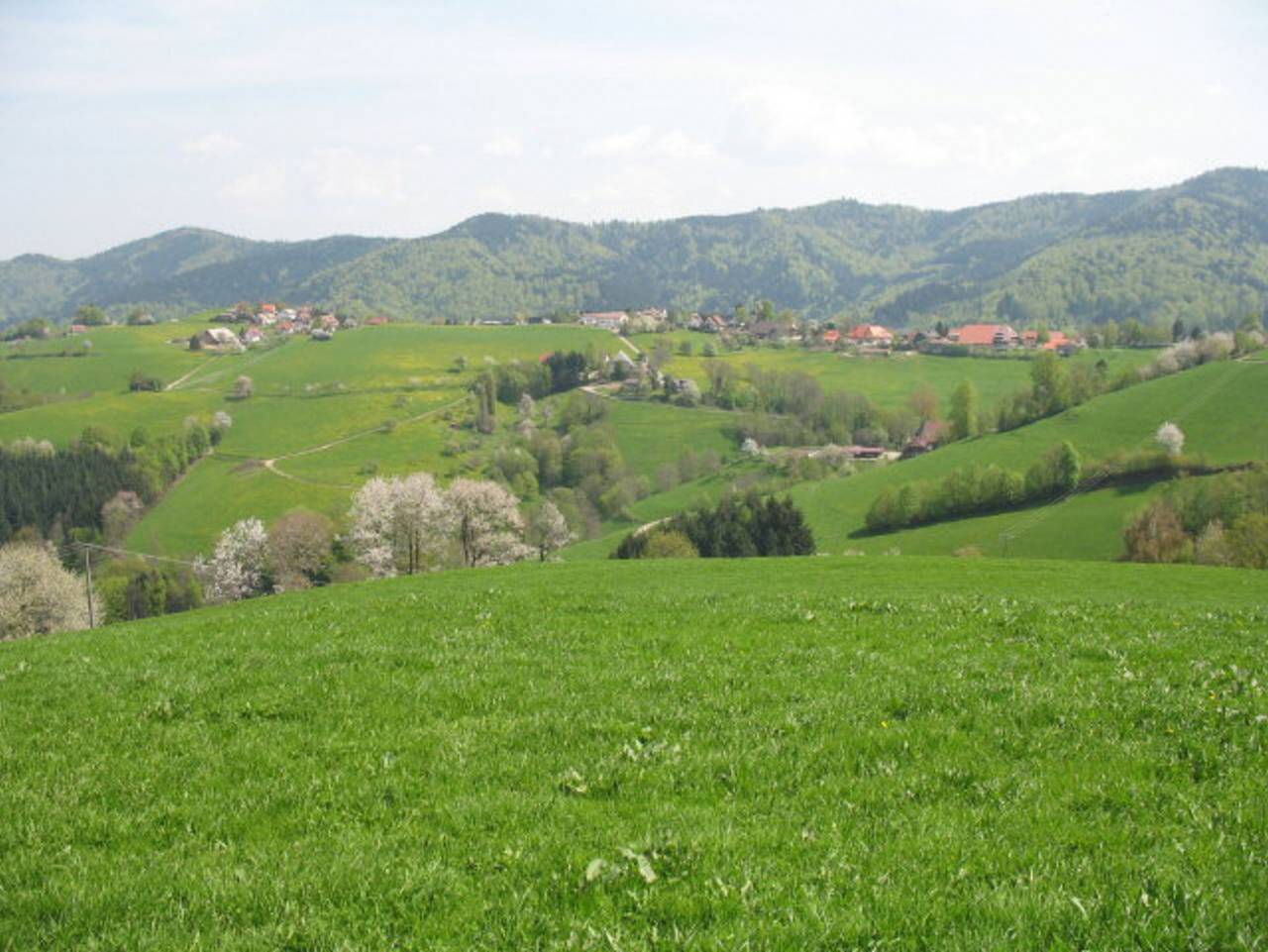 Ferienwohnungen Hansmartihof - Ferienwohnung Schönberg 70qm, 2 Schlafräume,  1 - 7 Personen in Horben, Südschwarzwald