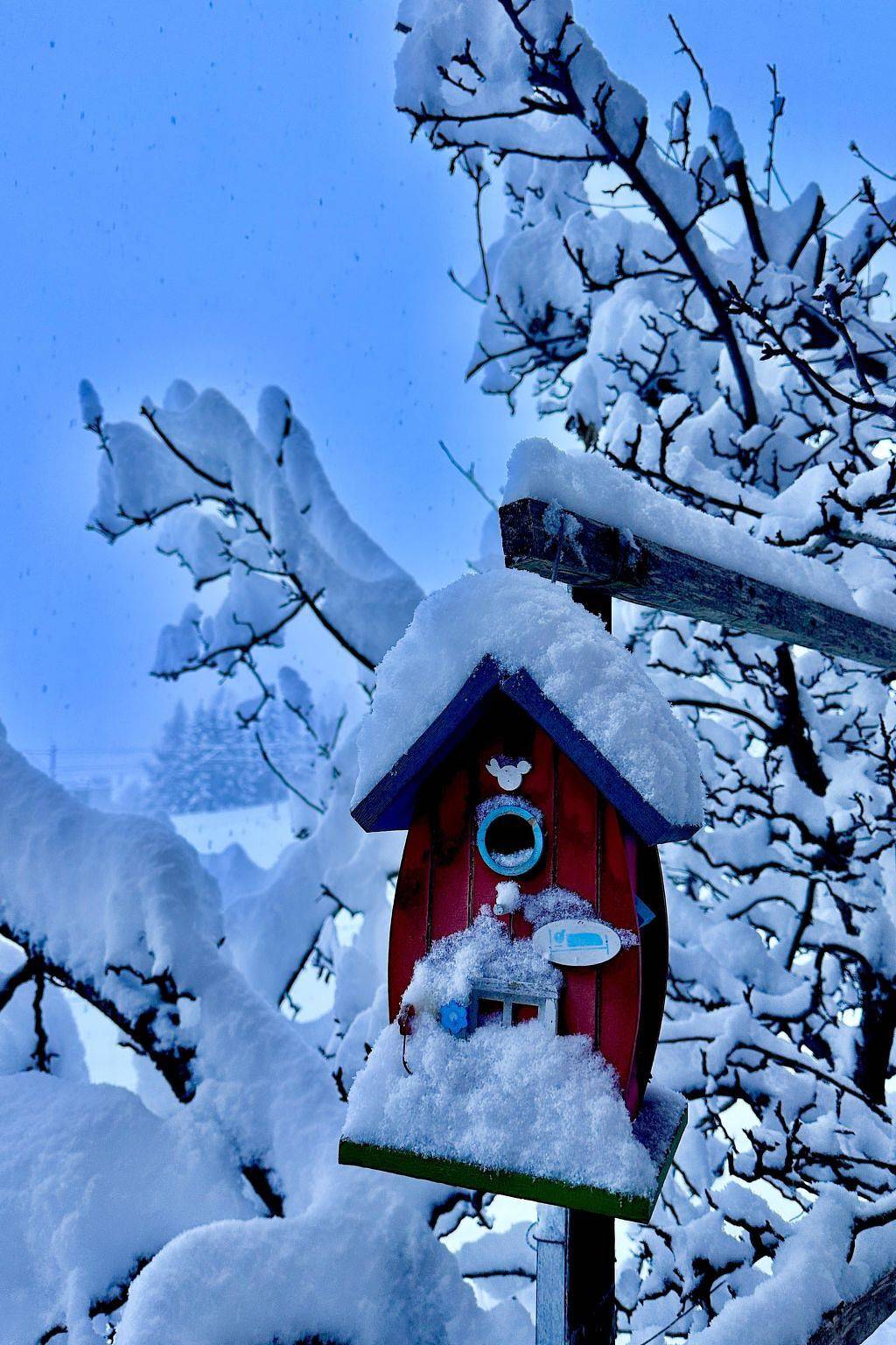 Ganze Wohnung, Ferienwohnung Gehrihorn in Frutigen, Frutigen - Lenk - Adelboden