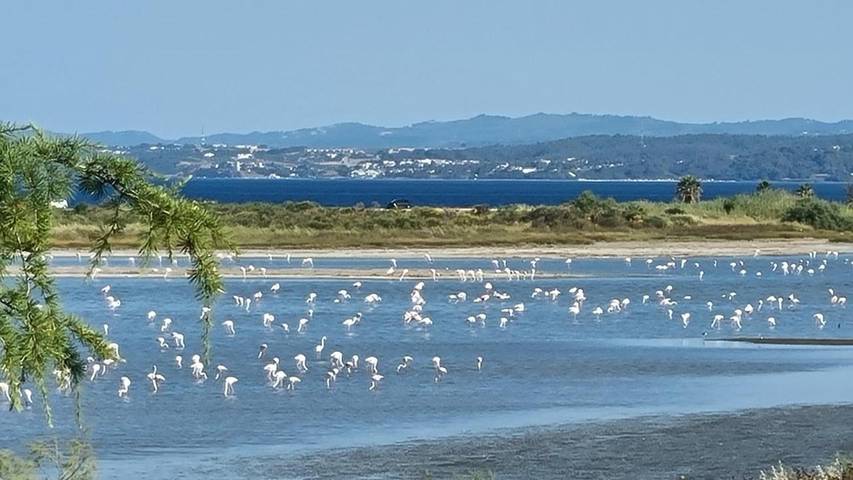 Location de vacances pour 4 personnes, avec terrasse ainsi que vue et jardin, animaux acceptés dans Portes - 2
