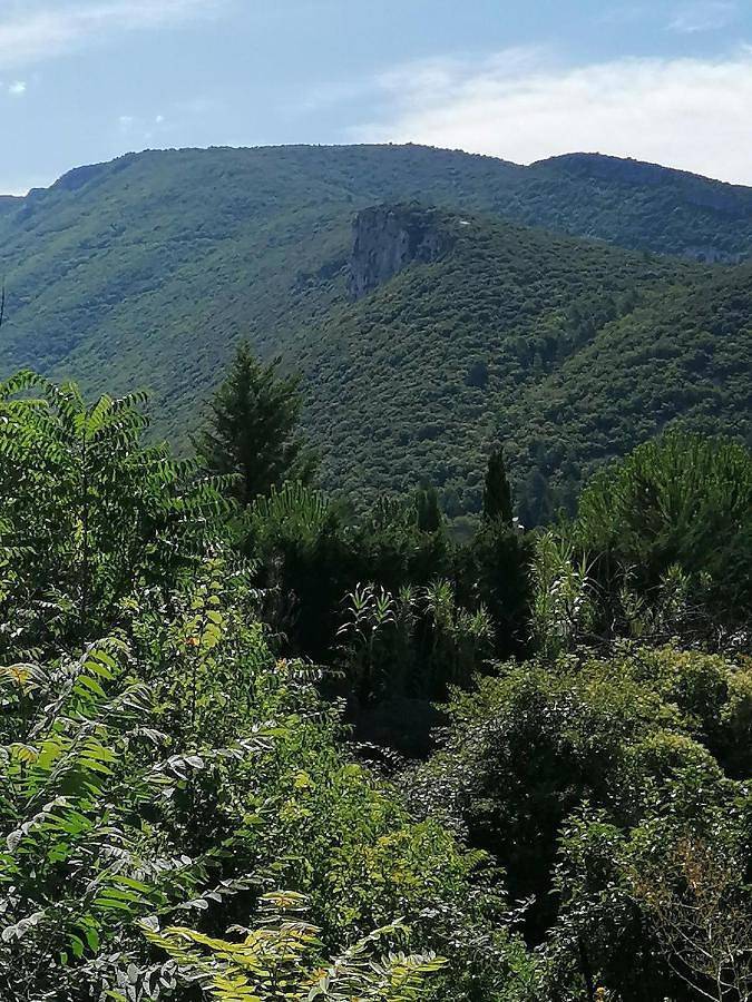 Gîte pour 3 personnes, avec vue, animaux acceptés à Mollans-sur-Ouvèze - 3