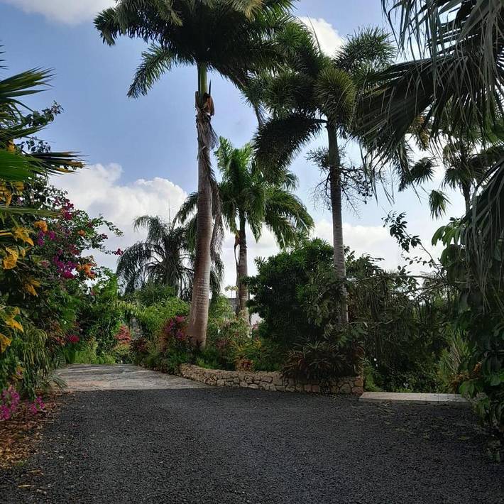 Location de vacances pour 4 personnes, avec vue ainsi que piscine et jardin à Le Gosier - 2