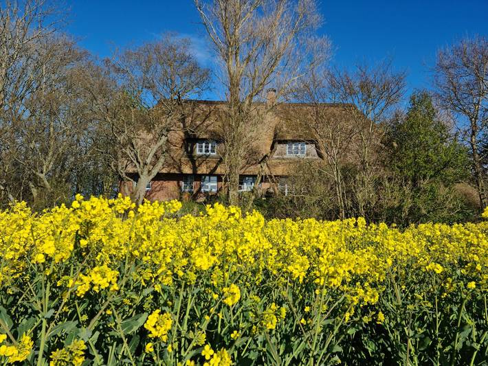 Ferienwohnung für 3 Personen, mit Balkon und Garten in Neukirchen (Südtondern) - 3