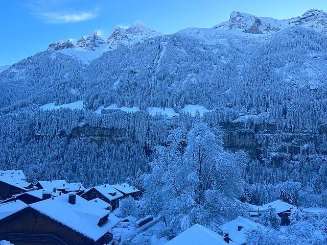 Appartamento intero, Chalet l'Eglantine - 5.5-Zimmerwohnung in Champéry, Portes du Soleil