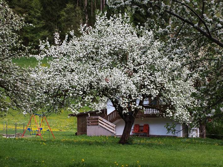 Villa voor 7 personen, met tuin in Tirol