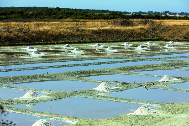 Maison de vacances pour 5 personnes, avec terrasse sur l' Île de Ré